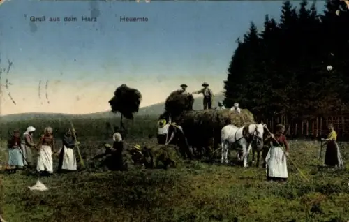 Ak Gruß aus dem Harz, Heuernte