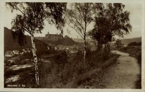 Ak Nossen in Sachsen, Panorama, Schloss