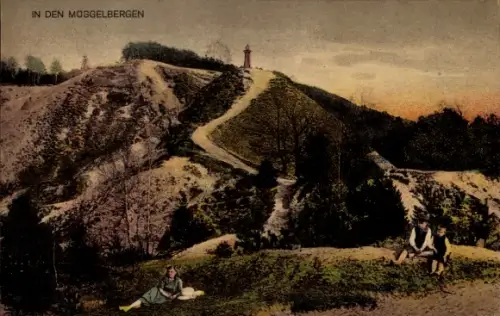Ak Berlin Köpenick, Partie in den Müggelbergen, Aussichtsturm 
