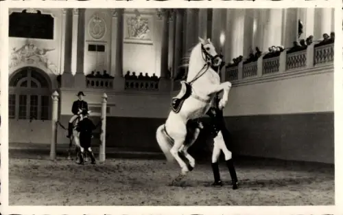 Ak Wien Österreich, Spanische Reitschule Courbett, Vorführung klassischer Reitkunst