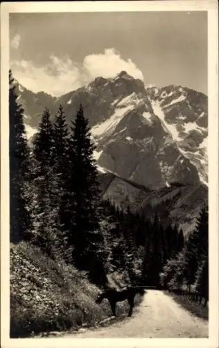 Ak Slowenien, Sanntaleralpen, Blick vom Seebergsattel