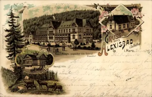 Litho Alexisbad Harzgerode am Harz, Hotel Försterling, Herzogliche Villa, Badehaus