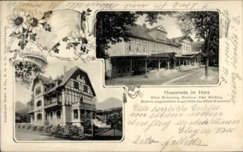 Ak Hasserode Wernigerode im Harz, Hotel Hohnstein, Bes. Carl Bücking, Logier-Villa