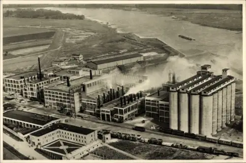Ak Barby an der Elbe, Deutsche Maizena Werke AG, Maisstärkefabrik, Fliegeraufnahme