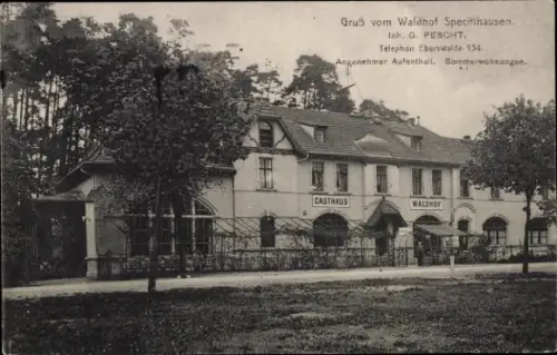 Ak Spechthausen Eberswalde in der Mark, Waldhof Spechthausen, Inh. G. Pescht
