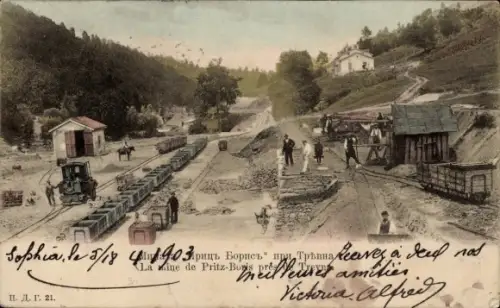 Ak Mitrovica Kosovo, Trepca-Minen