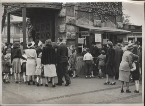 Original Foto Berlin-Tiergarten, Zoo, um 1948, ca. 17x12 cm