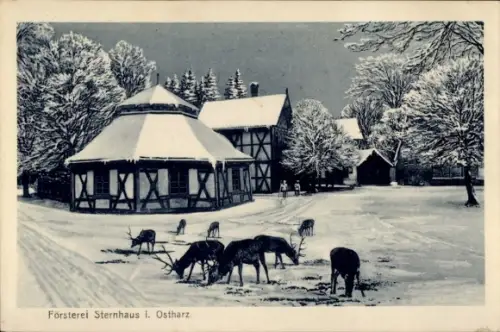 Ak Gernrode Quedlinburg im Harz, Försterei Sternhaus, Hirsche, Winter