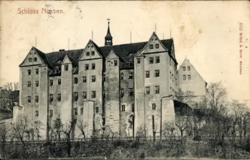 Ak Nossen in Sachsen, Schloss