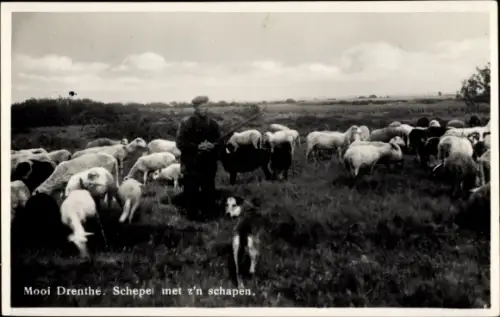 Ak Mooi Drenthe, Scheper met schapen, Schafe, Hund, Schäfer