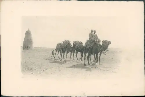 Foto Ägypten, Kamele, Karawane