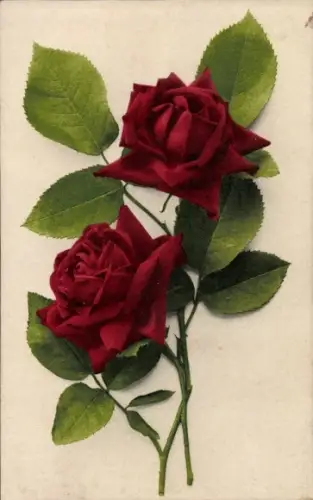 Ak Rote Rosen, Blumen