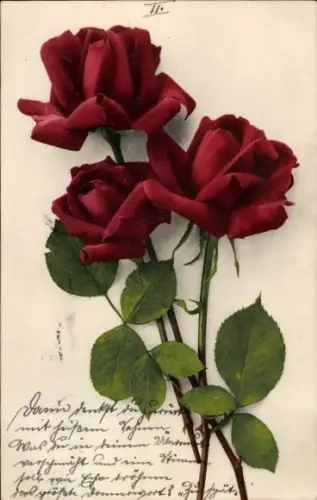 Ak Rote Rosen, Blumen