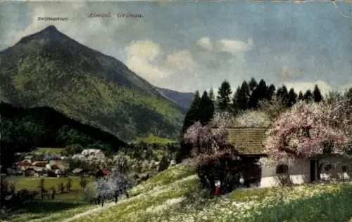 Ak Grünau im Almtal Oberösterreich, Zwillingskogel, Ort, Baumblüte