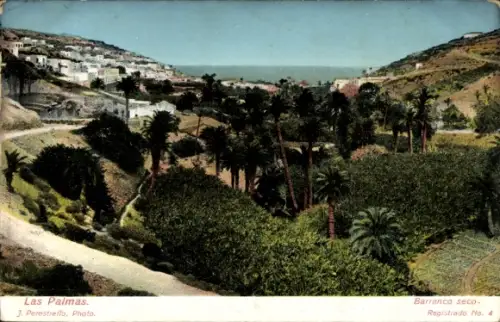 Ak Las Palmas de Gran Canaria Kanarische Inseln, Blick auf den Ort, Palmen