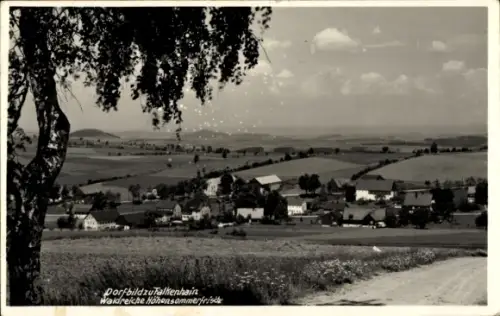 Ak Falkenhain Altenberg im Osterzgebirge, Panorama