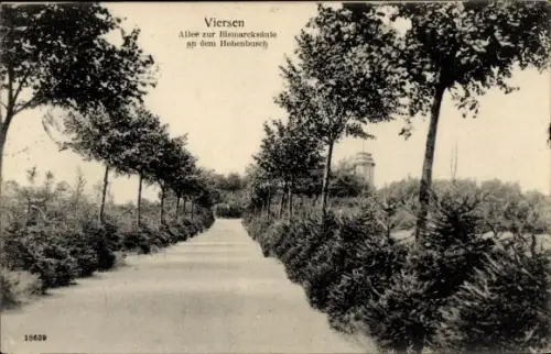 Ak Viersen in Nordrhein Westfalen,  Allee zur Bismarcksäule, Hohenbusch