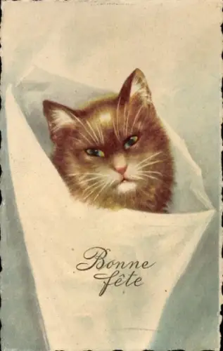 Ak Glückwunsch, Rote Katze in einer Papiertüte