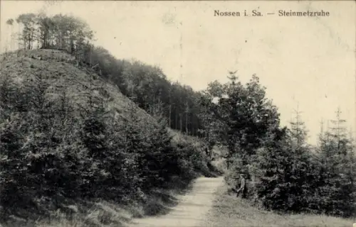 Ak Nossen in Sachsen, Waldweg, bewaldeter Hang, schmaler Erdpfad, Mischwald