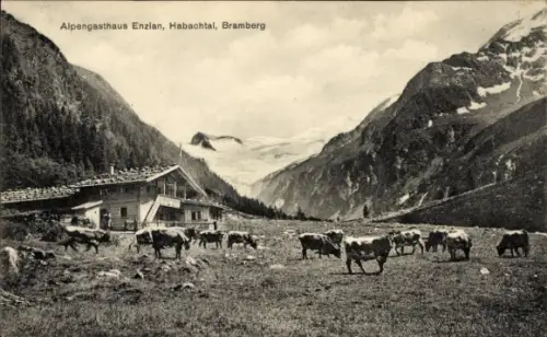Ak Bramberg am Wildkogel Pinzgau in Salzburg, Gasthaus, Kühe auf Almwiese, Bergtal mit Gletscher 