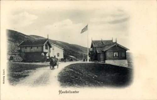 Ak Edland Norwegen, Hotel Haukeliseter, Haukelisaeter