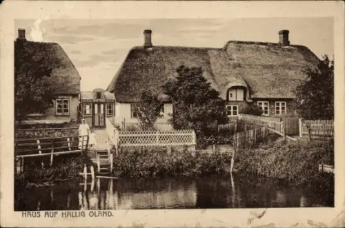 Ak Hallig Oland Nordfriesland, Reetdachhaus