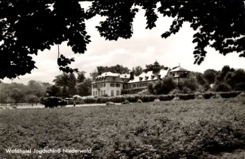 Ak Rüdesheim am Rhein, Waldhotel Jagdschloss Niederwald