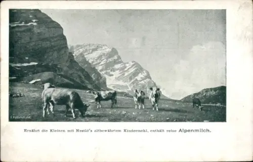 Ak Berglandschaft, Kühe, Werbung Nestle