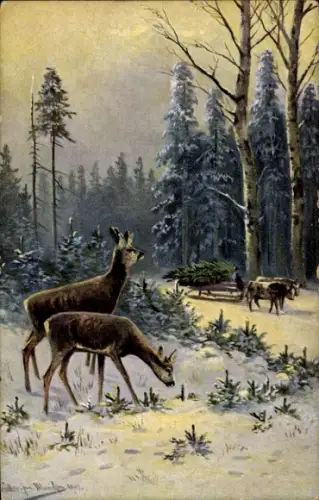 Künstler Ak Frohe Weihnachten, Tannenbaum, Waldpartie, Hirsche