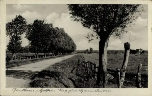 Ak Quickborn in Holstein,  Weg zum Himmelmoor