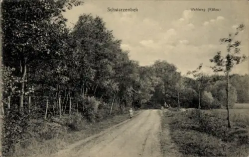 Ak Schwarzenbek in Lauenburg,  Waldweg (Ralau)