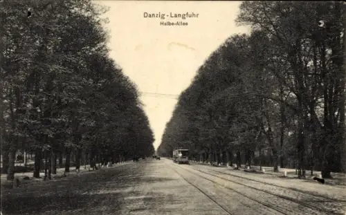 Ak Wrzeszcz Langfuhr Gdańsk Danzig, Halbe-Allee