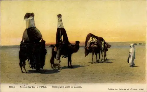 Ak Scènes et Types, Palanquins dans le Désert, Kamelkarawane