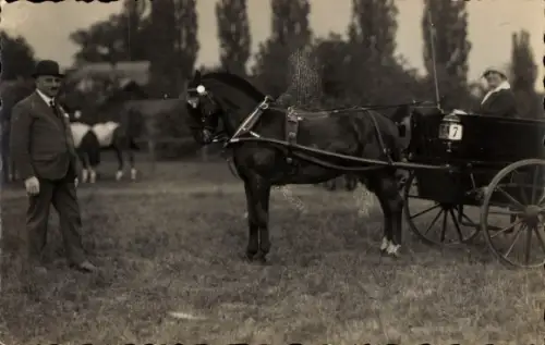 Foto Ak Frau in einer Kutsche, Nr. 7, Pferd, Mann