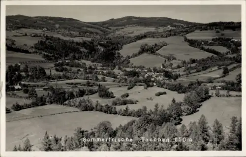 Ak Tauchen Mönichkirchen in Niederösterreich, Panorama