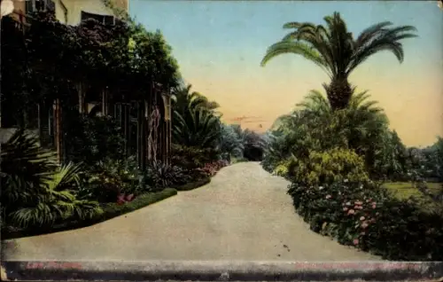 Ak Las Palmas de Gran Canaria Kanarische Inseln, Garten des Hotel Santa Catalina