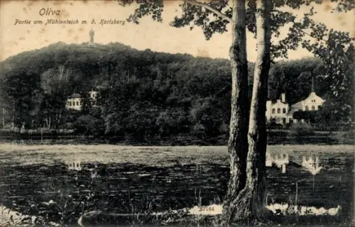 Ak Oliva Gdańsk Danzig,  Partie am Mühlenteich, Karlsberg