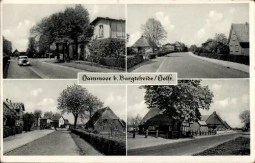 Ak Hammoor in Schleswig-Holstein, Hammoor b. Bargteheide/Holst., Dorfstraße, Fachwerkhäuser, Baue