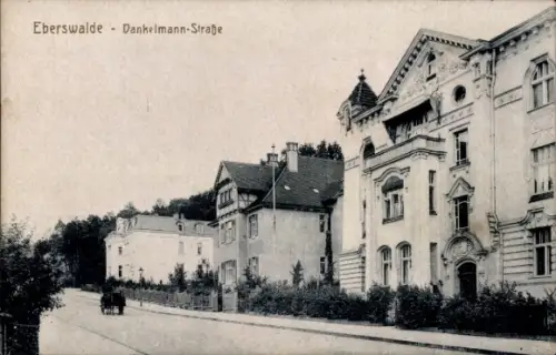 Ak Eberswalde, Dankelmannstraße, Villen