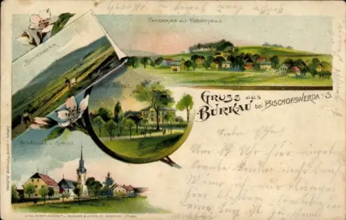 Ak Burkau in Sachsen, Panorama mit Forsthaus, Butterberg, Eutschule, Burkau, alte Architektur