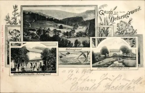 Ak Oelsengrund Bad Gottleuba in Sachsen, Jägerhaus, Gasthof Ebertmühle