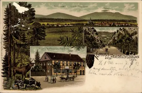 Litho Friedrichsbrunn Thale im Harz, Meyers Gasthaus zum schwarzen Adler, Kaltes Tal, Hirsch
