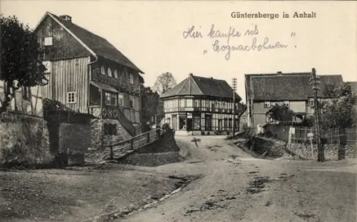 Ak Güntersberge Harzgerode am Harz,  Gebäude, Straße