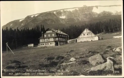 Ak Karpacz Krummhübel Riesengebirge Schlesien, Schlingelbaude, Prinz Heinrich Baude