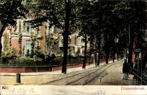 Ak Düsternbrook Kiel, Straßenpartie