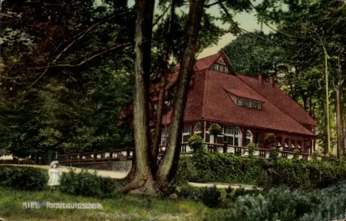 Ak Düsternbrook Kiel, Forstbaumschule