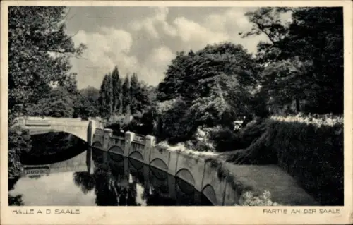 Ak Halle an der Saale, DODGE, Halle a. d. Saale, Partie an der Saale