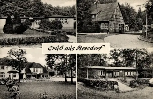 Ak Hesedorf Bremervörde in Niedersachsen, Café, Gasthaus, Bungalow