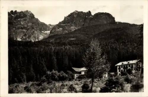 Ak Lienz Tirol Österreich, Lienzer Hütte, felsige Bergkette, dichter Nadelwald, Gästehäuser am Wa