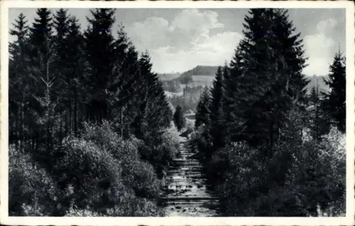 Ak Głębce Glembce Wisła Weichsel Schlesien, Hotel Schweizerhof, Bach im Wald, Kaskaden